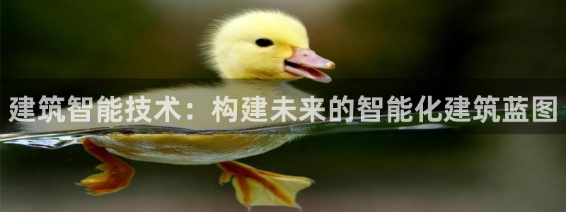 和记手机客户端官网