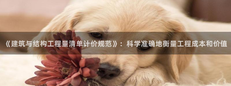和记h88官网登陆