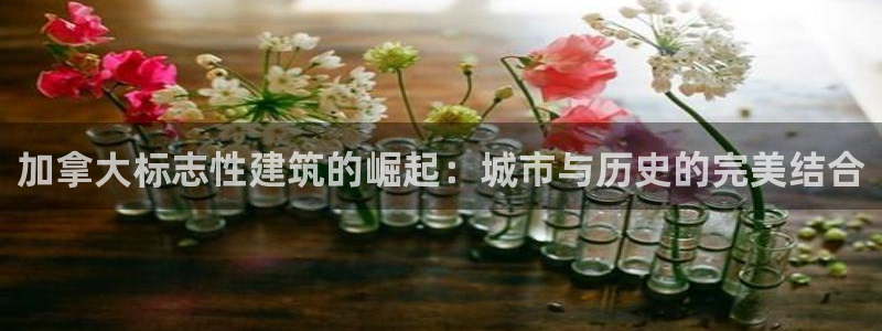和记黄浦官网：加拿大标志性建筑的崛起：城市与历史的完美结合