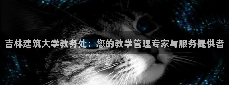 和记娱技精h88285官网