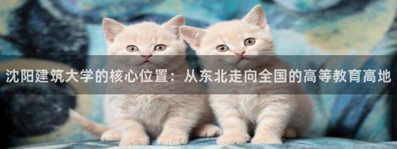 长江和记官网：沈阳建筑大学的核心位置：从东北走向全国的高等教育高地