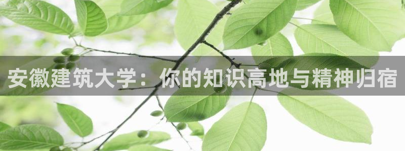 和记官网登陆：安徽建筑大学：你的知识高地与精神归宿