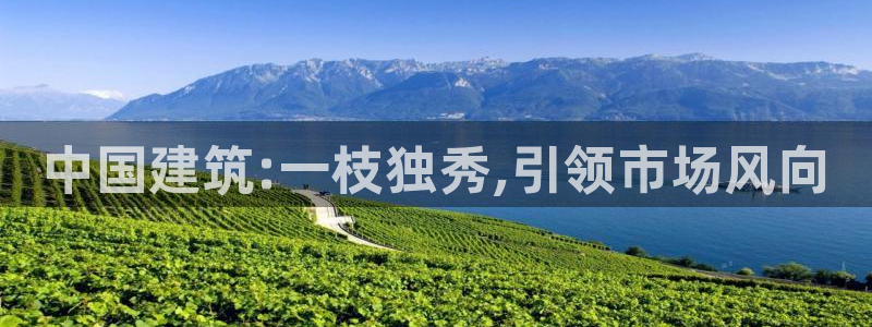 成都和记黄埔地产官网：中国建筑:一枝独秀,引领市场风向