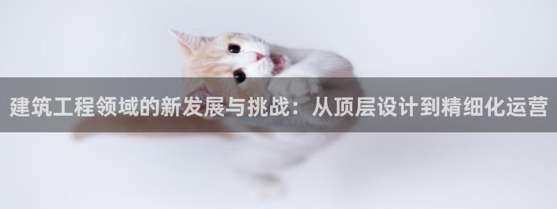 和记黄埔集团官网：建筑工程领域的新发展与挑战：从顶层设计到精细化运营