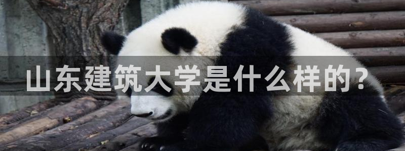 和记娱乐场所官网