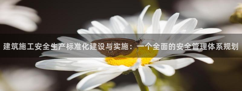 和记彩官网：建筑施工安全生产标准化建设与实施：一个全面的安全管理体系规划