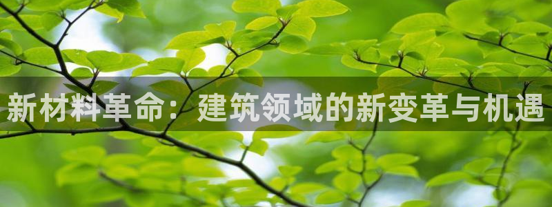 和记登录官网：新材料革命：建筑领域的新变革与机遇