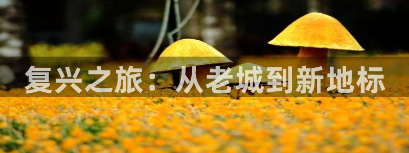 和记怡情博娱中国官网