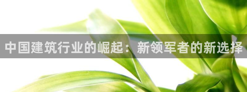 和记黄埔中药公司官网