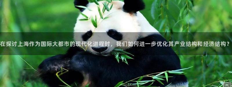 和记3国际万能卡官网：在探讨上海作为国际大都市的现代化进程时，我们如何进一步优化其产业结构和经济结构