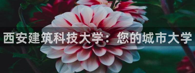 和记国际官网首页