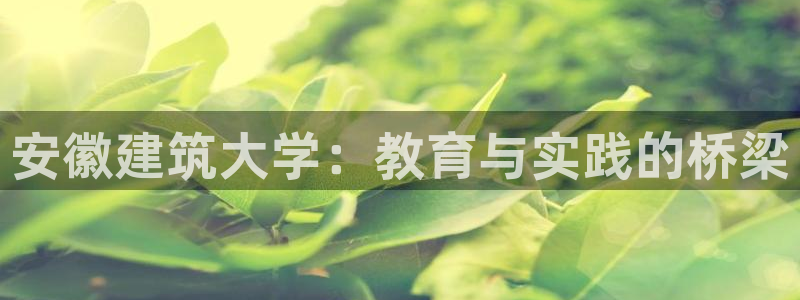 成都和记黄埔官网