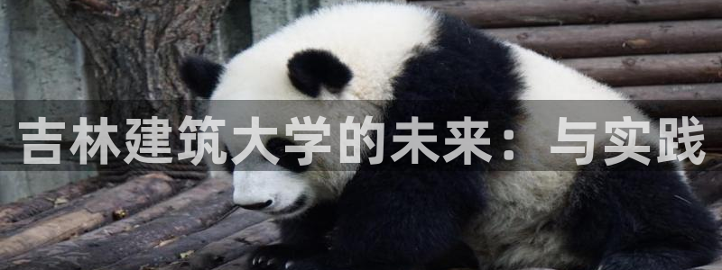 和记国际电讯官网