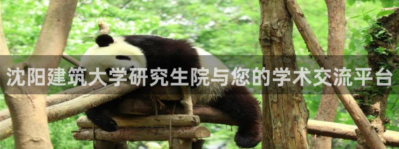 白云 和记黄埔官网