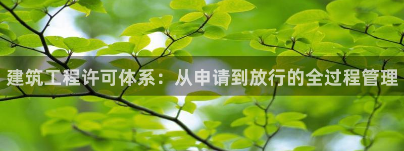 和记备用官网：建筑工程许可体系：从申请到放行的全过程管理