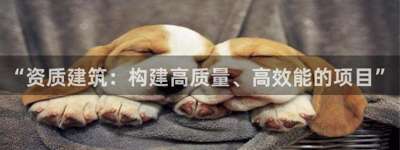 和记娱乐旗舰官网：“资质建筑：构建高质量、高效能的项目”