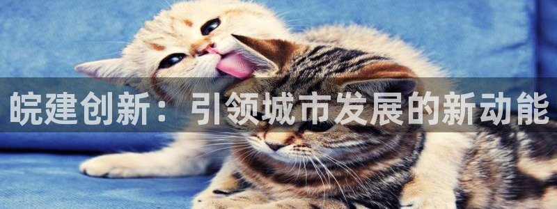 和记官网注册：皖建创新：引领城市发展的新动能